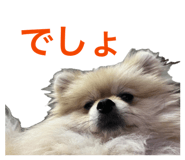 845444988