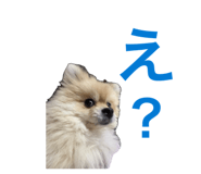845444989