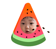 845445007
