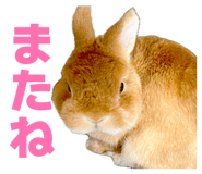 845445100