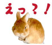 845445106
