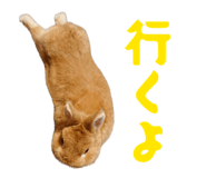 845445110