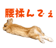 845445111