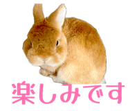 845445113