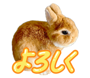 845445115