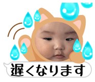 845445208
