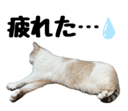 845445357
