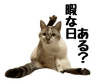 845445361