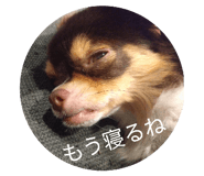 845445398
