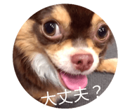 845445406