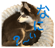 845445679