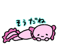 845445794