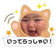 845446168