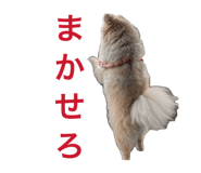 845446186