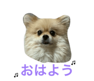 845446191
