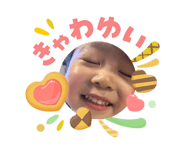 845446241
