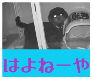 845446440