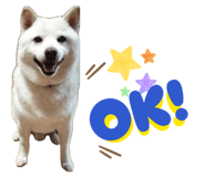 845446569