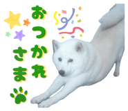 845446572