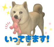 845446574