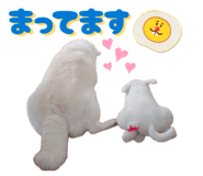 845446577