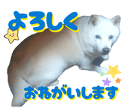 845446578