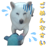845446581