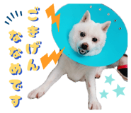 845446582