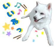 845446583