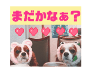 845447342