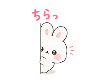 845447404