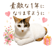 845447453