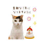 845447458