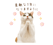 845447459