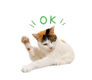 845447466