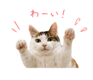 845447473