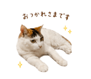 845447479