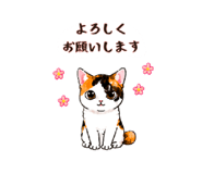 845447488