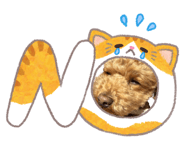 845448623