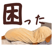 845448676