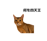 845449037