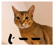 845449274