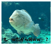 845449290