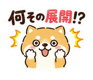 845449437