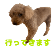 845449540