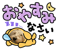 845450589