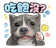845450630