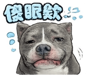 845450635