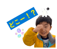 845450646