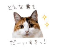 845451389